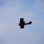 dsc01164.jpg