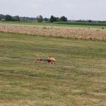 dsc02031.jpg