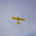 dsc02138.jpg